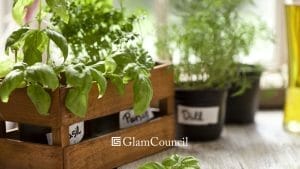 herb garden for your home