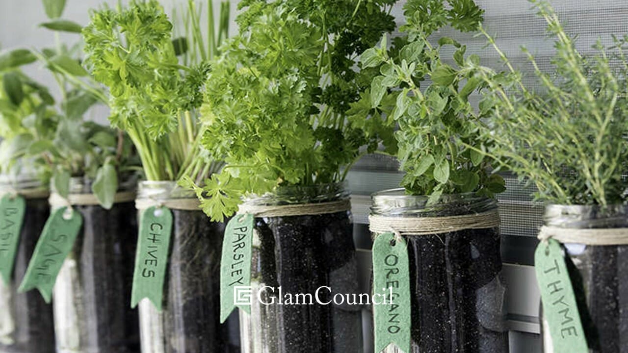 Reap The Benefits Of An Easy Home Herb Garden