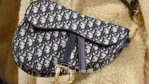 26 Types of Affordable Handbags in the Philippines with Prices 25 Saddle Bags The Price Range and Short Description of These Handbags in the Philippines
