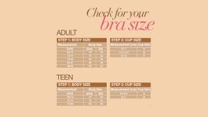 Bra Size Guide Chart Finding the Perfect Fit for You