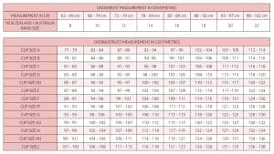 Understanding Band Size Using Bra Size Guide Chart