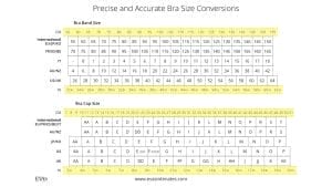 Understanding Bra Size Band and Cup Measurements