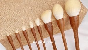 Wood Blusher Brushes in the Philippines