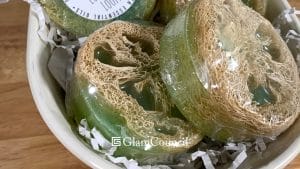 Aloe Vera Infused Loofah Scrubbers in the Philippines