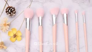 Plastic Blusher Brushes in the Philippines