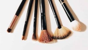 How to Choose the Right Blusher Brushes in the Philippines