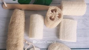 The Price Range of Loofah Scrubbers in the Philippines How Much