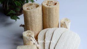 Where Can You Buy Loofah Scrubbers in the Philippines Online and Retail Stores